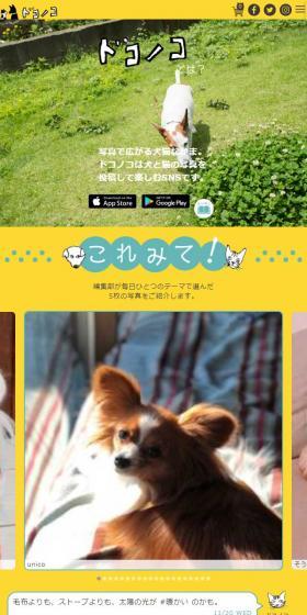 DOKONOKO LP design (Internet service / yellow / Simple) Mobile version