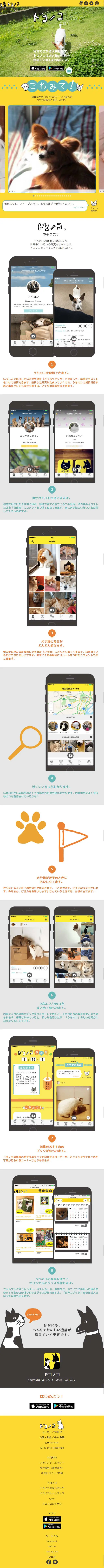 DOKONOKO LP design (Internet service / yellow / Cute style) Mobile version