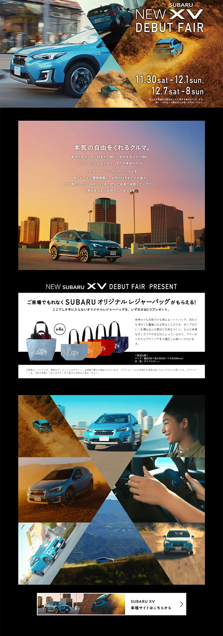 NEWXV Debut Fair LP design (Services, Insurance, and Finance / Black-colored / Cool style) PC version
