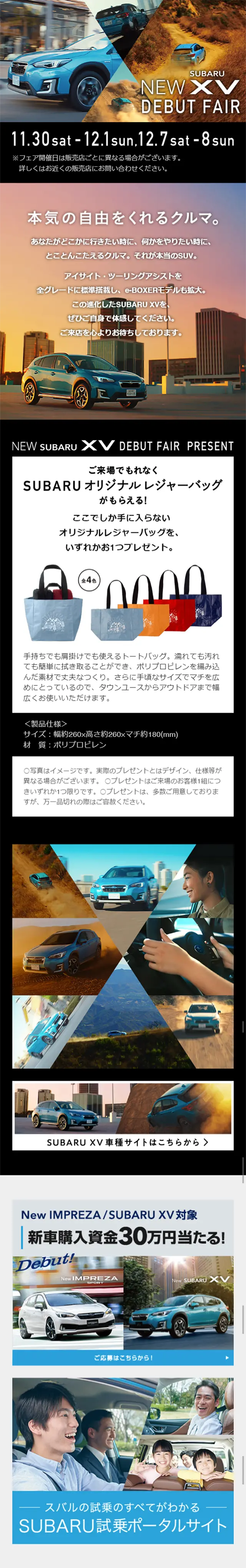 NEWXV Debut Fair LP design (Services, Insurance, and Finance / Black-colored / Cool style) Mobile version