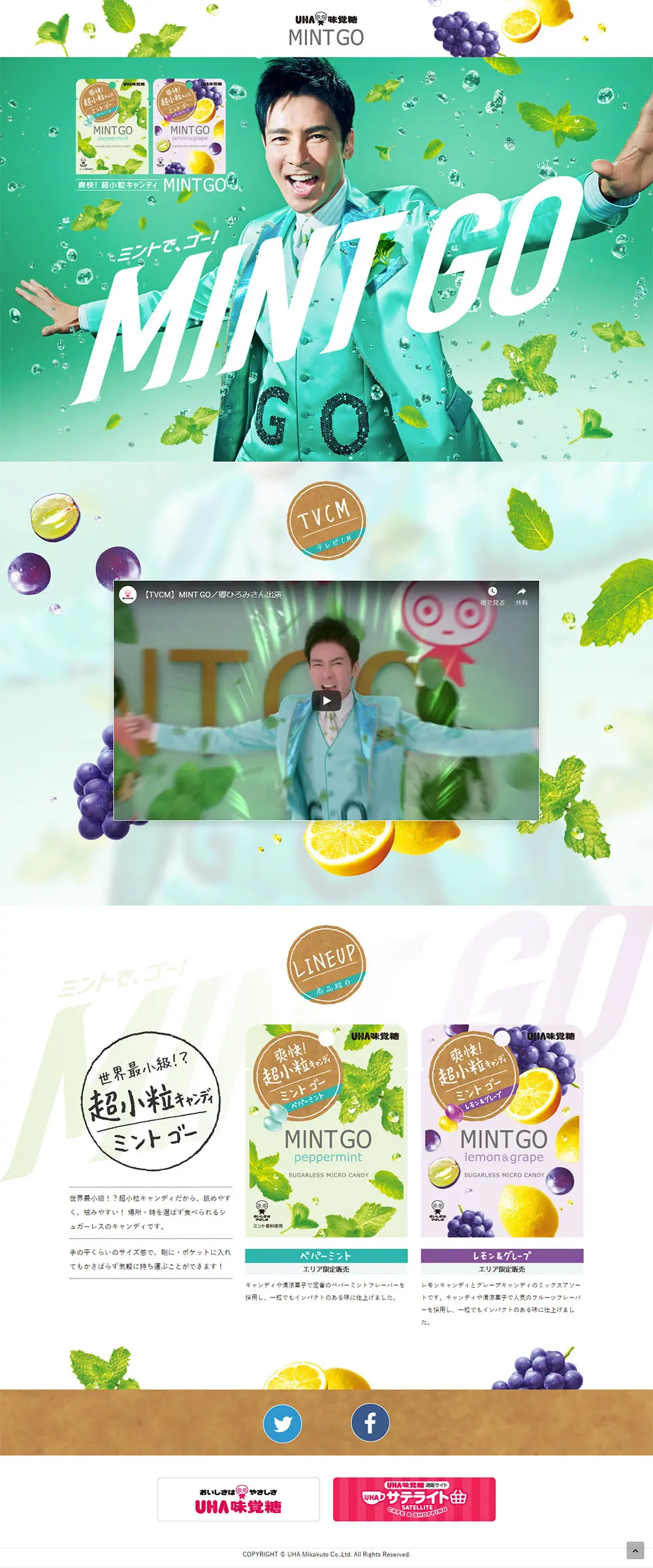 MINT GOのLPデザイン（スイーツ・スナック菓子／グリーン系／爽やか系）PC版