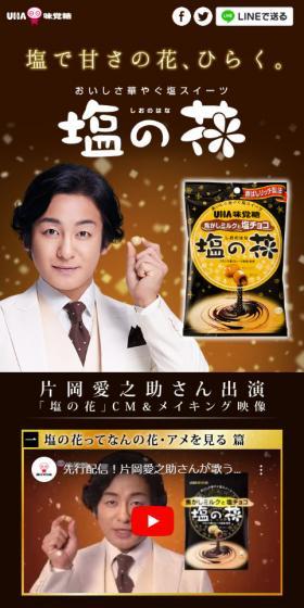 塩の花のLPデザイン（スイーツ・スナック菓子／ブラウン系／信頼・安心系）スマホ版