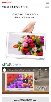 ポータブル液晶テレビ AP/AFライン