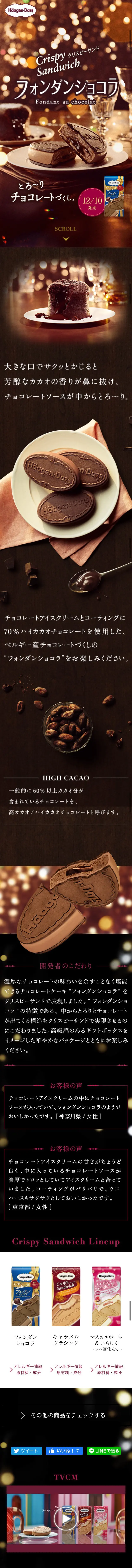 Crispy Sandwich Fondant Chocolat LP design (Sweets and Snacks / Brown tones / Refined style) Mobile version