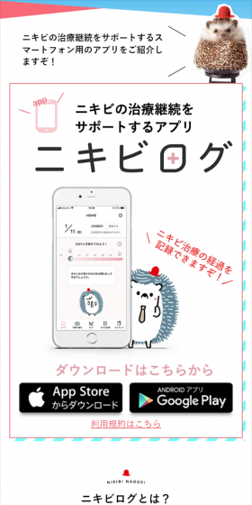 ニキビログのLPデザイン（インターネットサービス／ホワイト系／シンプル系）スマホ版