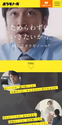 ボラギノールのLPデザイン（日用雑貨／イエロー系／シンプル系）スマホ版