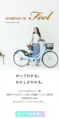 ENERSYSFEEL