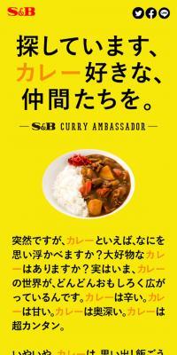 #エスビーカレーアンバサダー　はじまる。