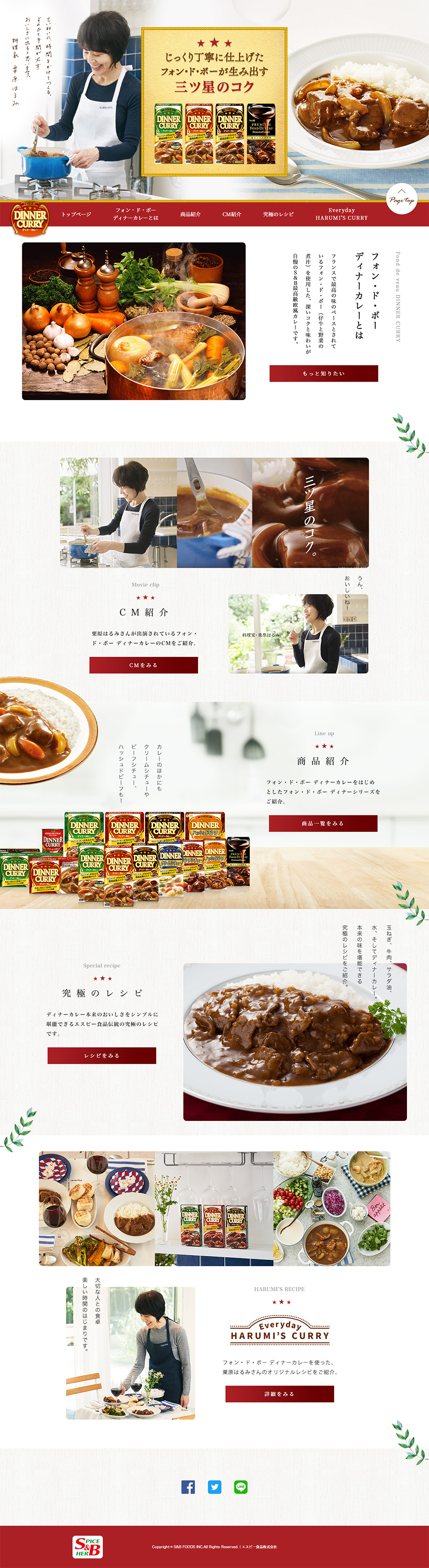 フォン・ド・ボー　ディナーカレーのLPデザイン（食品／レッド系／ナチュラル系）PC版
