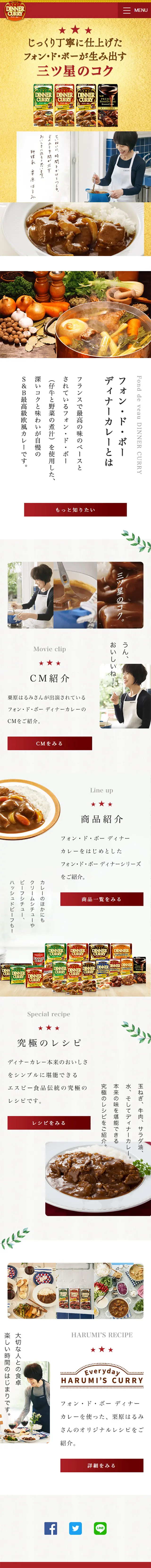 フォン・ド・ボー　ディナーカレーのLPデザイン（食品／レッド系／ナチュラル系）スマホ版
