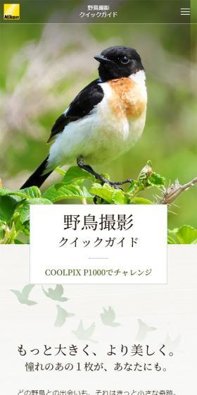 COOLPIX P1000 野鳥撮影クイックガイドのLPデザイン(家電・パソコン・通信機器/ベージュ系/ナチュラル系)スマホ版