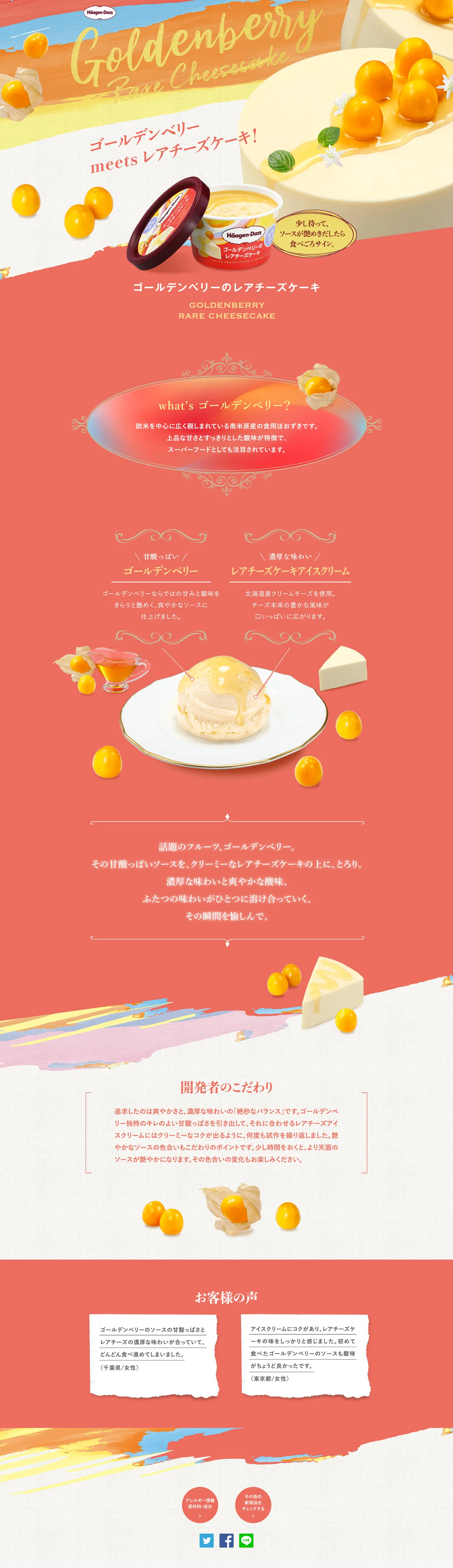 Goldenberry Rare Cheesecake LP design (Western confectionery / Orange tones / Cute style) PC version