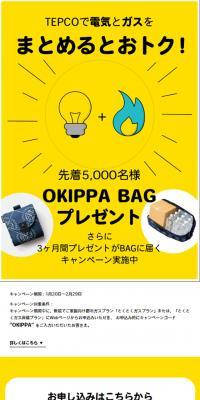 Combine electricity and gas with TEPCO to save money!
