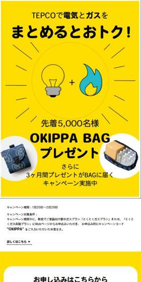 Combine electricity and gas with TEPCO to save money! LP design (Services, Insurance, and Finance / yellow / Simple) Mobile version
