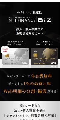 NTT Finance Biz Card