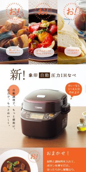 New! Zojirushi Automatic Pressure IH Pot