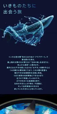 いきものたちに出会う旅のLPデザイン（旅行・アウトドア／ブルー系／キレイ系）スマホ版