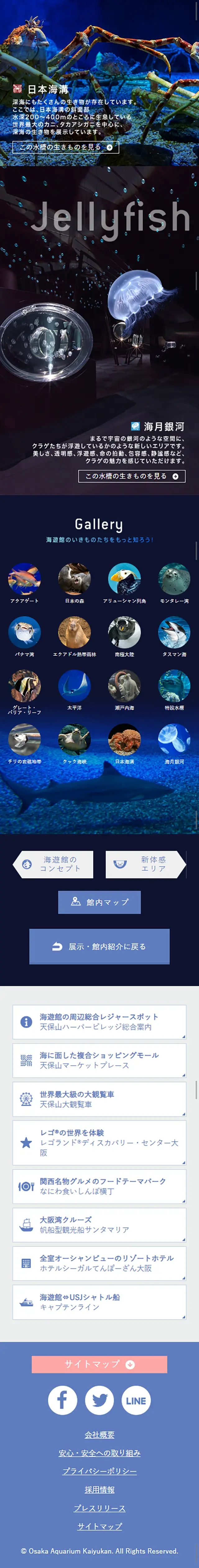 いきものたちに出会う旅のLPデザイン（旅行・アウトドア／ブルー系／キレイ系）スマホ版