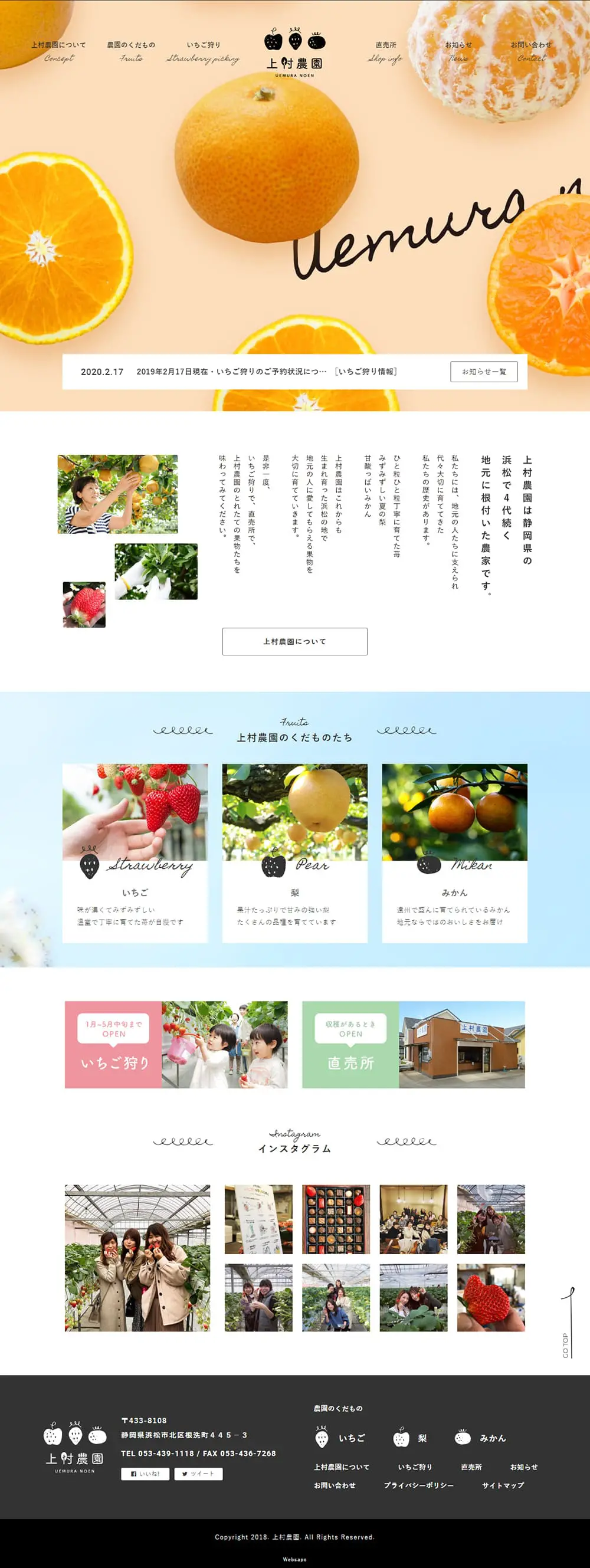 Fruits LP design (fruit-vegetable / White-based / Simple) PC version