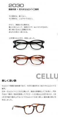 CELLULOID2030