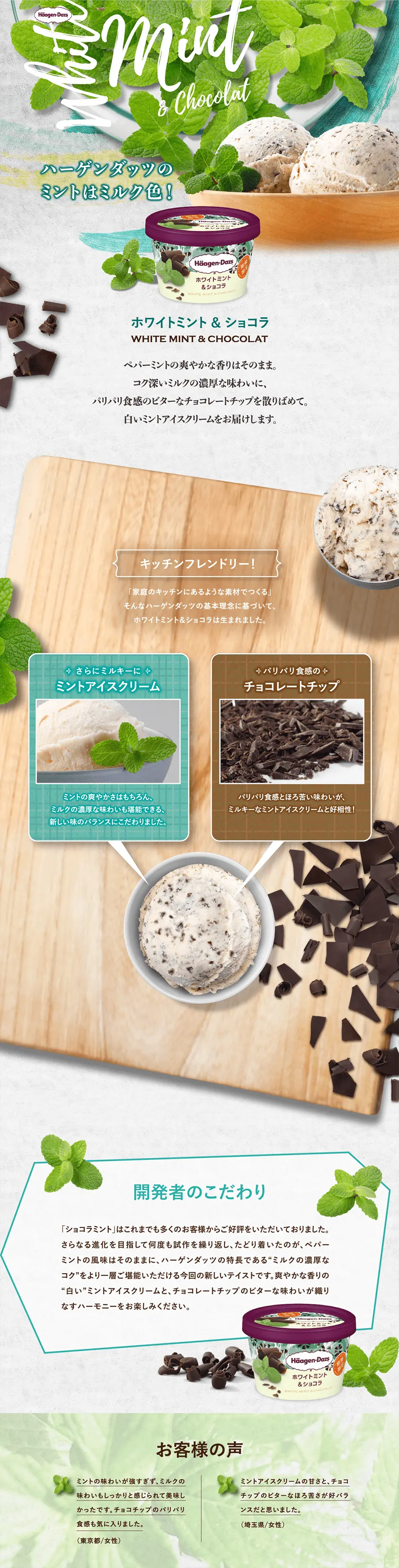 White Mint & Chocolate LP design (Sweets and Snacks / Green tones / Refreshing type) PC version