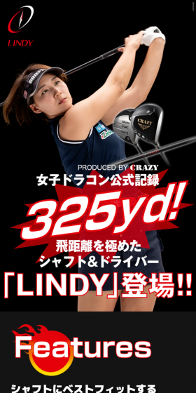 LINDY Driver LP design (sports / Black-colored / Cool style) Mobile version