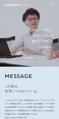 SystemMetrics Recruitment Site