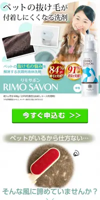 リモサボンのLPデザイン（日用雑貨／ブルー系／かわいい系）PC版