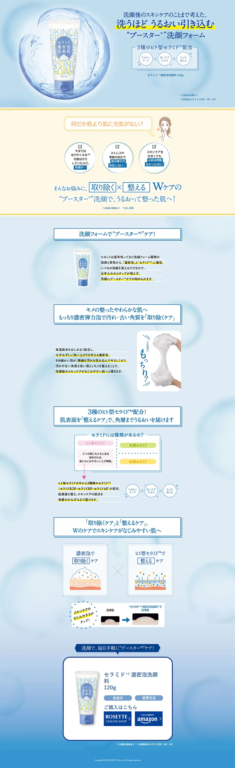 Ceramide Rich Foam Facial Cleanser LP design (Beauty, Skincare, Fragrance / Shades of blue / Refined style) PC version