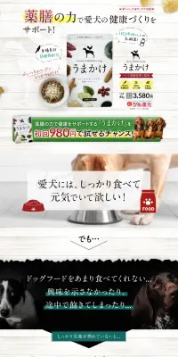 やわかのLPデザイン（ペット・花・DIY工具／ブラウン系／健康・癒し系）PC版