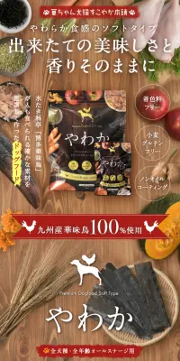 やわかのLPデザイン（ペット・花・DIY工具／ブラウン系／健康・癒し系）スマホ版