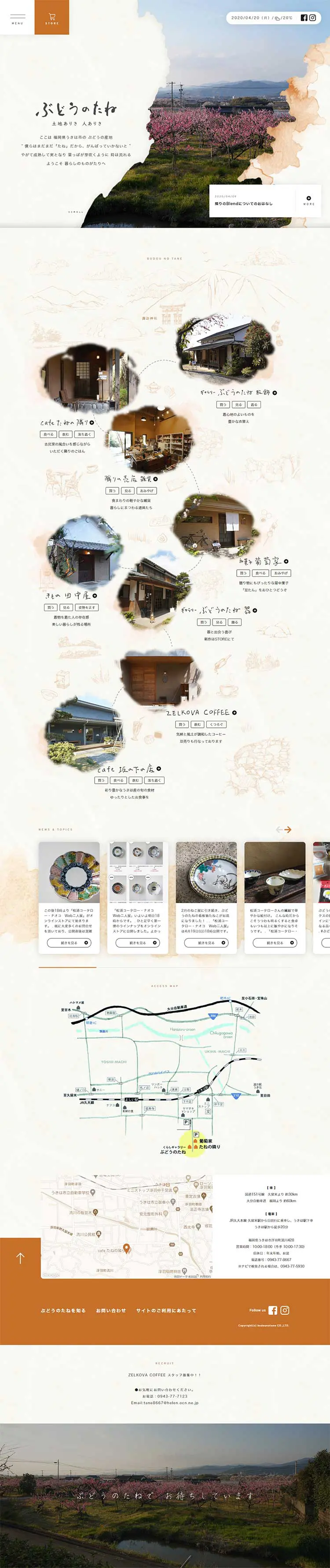 Grape seed LP design (Services, Insurance, and Finance / Beige tones / Japanese style) PC version