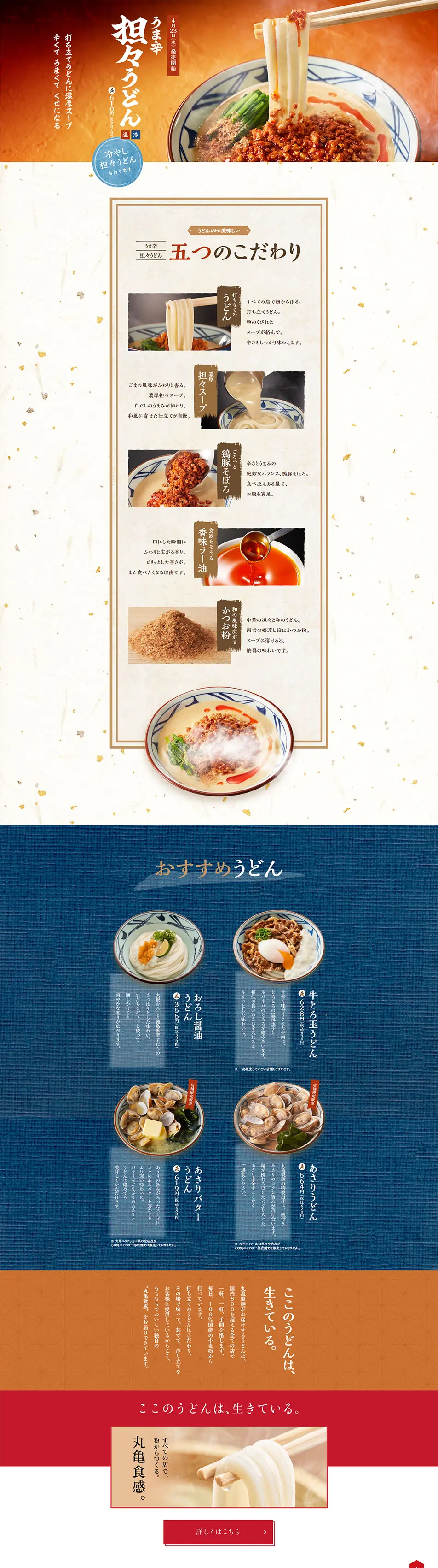 Savory Spicy Dan Dan Udon LP design (food / Orange tones / Japanese style) PC version