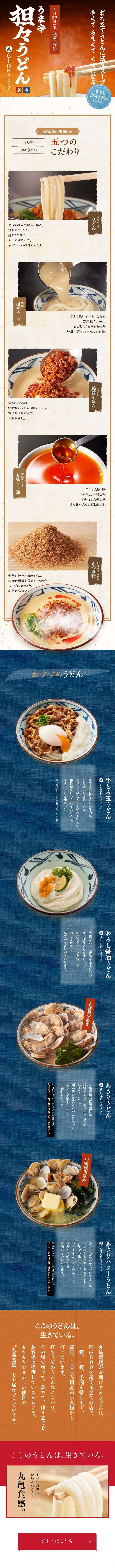 Savory Spicy Dan Dan Udon LP design (food / Orange tones / Japanese style) Mobile version
