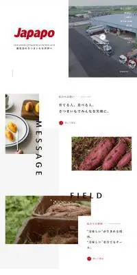 JapapoのLPデザイン（食品／グレー系／にぎやか系）PC版