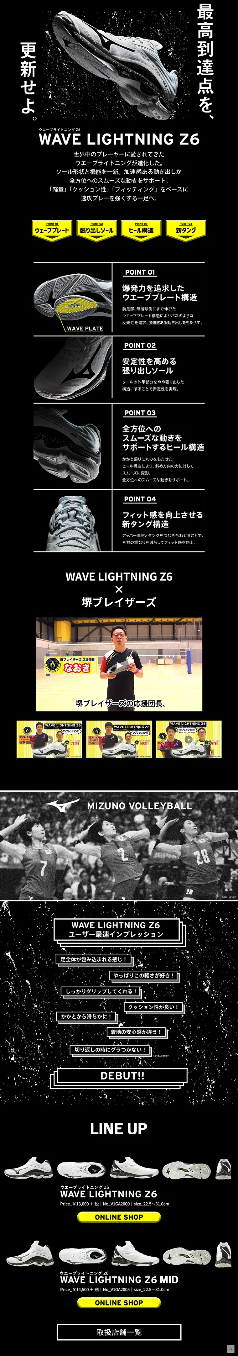 WAVE LIGHTNING Z6 LP design (sports / Black-colored / Cool style) PC version