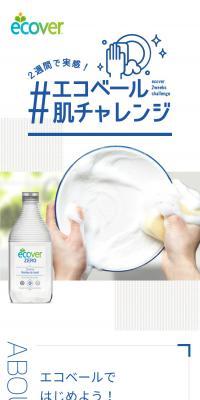 Ecover Skin Challenge
