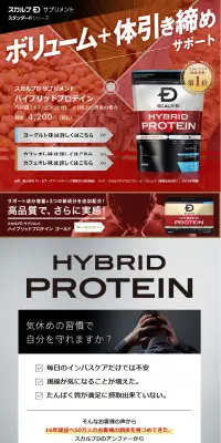 AGAメンズプロテインのLPデザイン（健康・美容食品・サプリ／グレー系／信頼・安心系）PC版