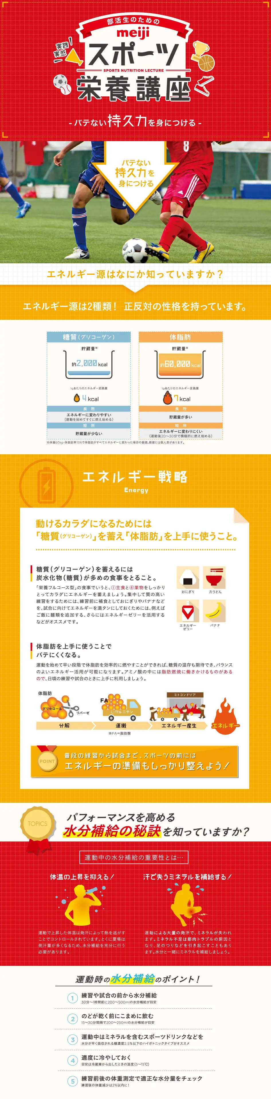 スポーツ栄養講座のLPデザイン（インターネットサービス／レッド系／信頼・安心系）PC版