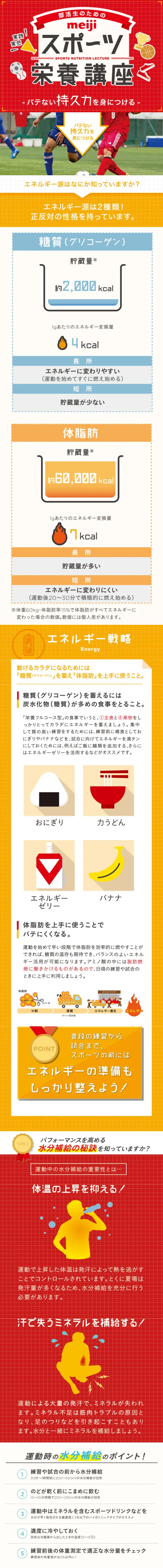スポーツ栄養講座のLPデザイン（インターネットサービス／レッド系／信頼・安心系）スマホ版