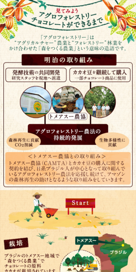 The Making of Agroforestry Chocolate LP design (Internet service / Beige tones / Organic) Mobile version