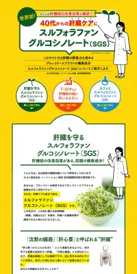 スルフォラファングルコシノレートのLPデザイン（インターネットサービス／イエロー系／信頼・安心系）PC版