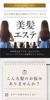 Hair beauty treatment