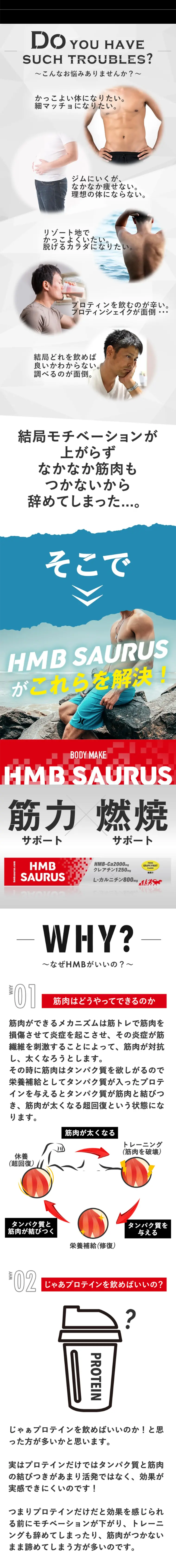 HMB SAURUSのLPデザイン（スポーツ／ブラック系／かっこいい系）スマホ版