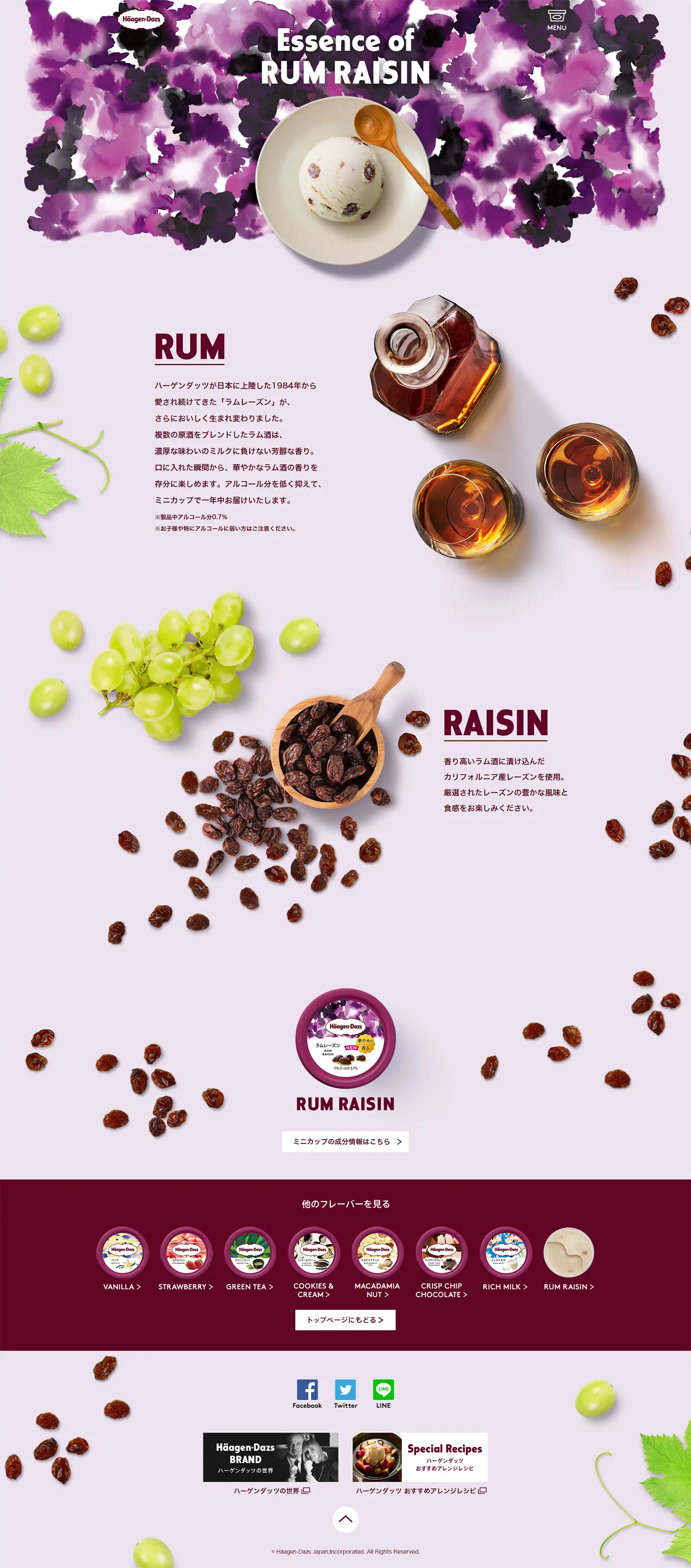 Rum Raisin Häagen-Dazs LP design (Western confectionery / Purples / Simple) PC version