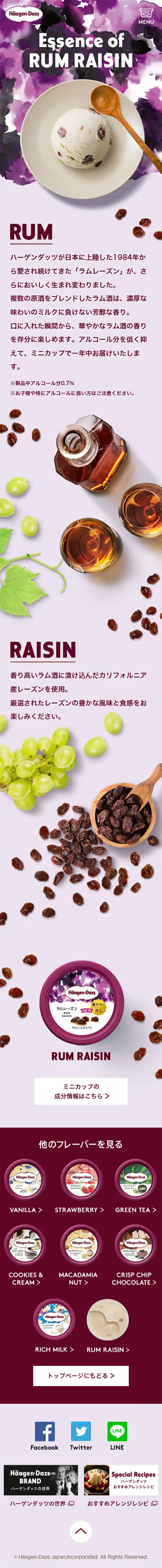 Rum Raisin Häagen-Dazs LP design (Western confectionery / Purples / Simple) Mobile version