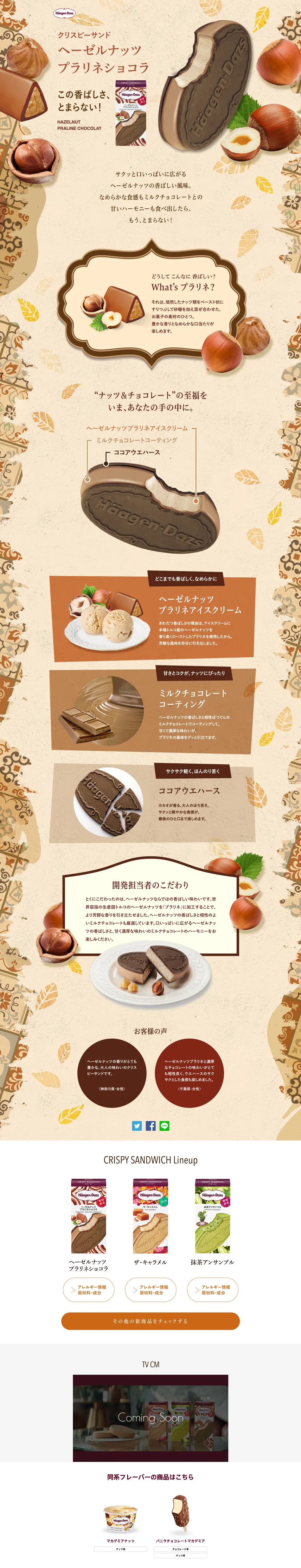 Hazelnut Praline Chocolate LP design (Sweets and Snacks / Beige tones / Cute style) PC version