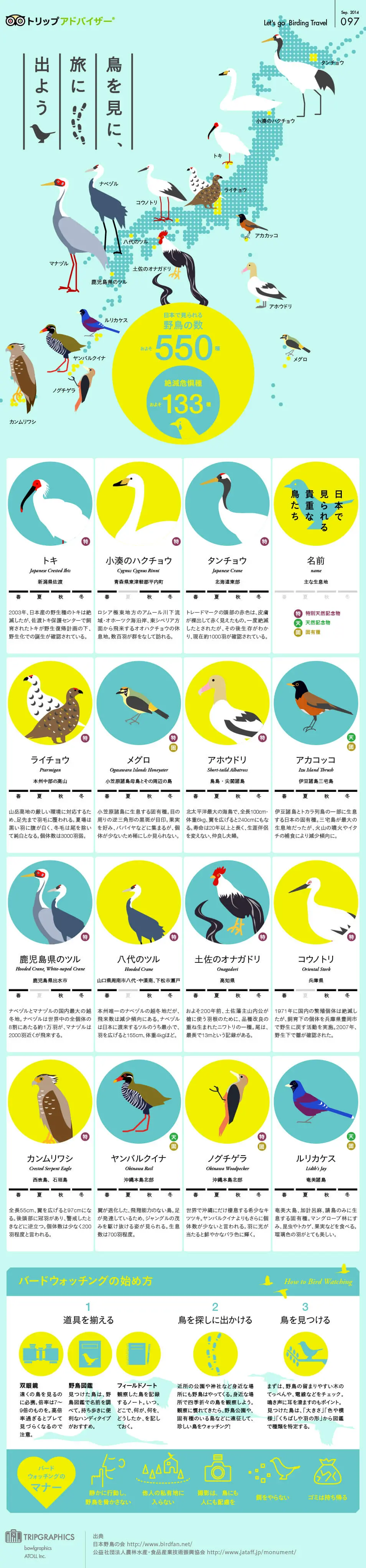 鳥を見に、旅に出ようのLPデザイン（旅行・アウトドア／ブルー系／かわいい系）PC版