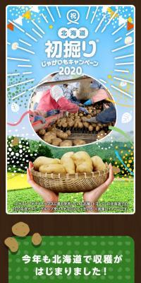 First Harvest Potato Campaign 2020