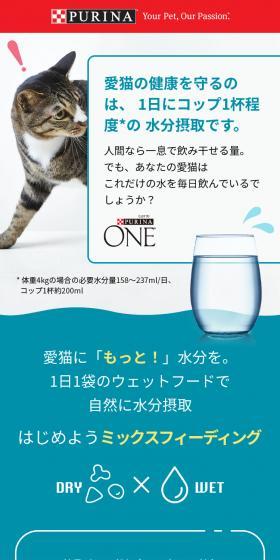 愛猫の健康を守るのは、1日にコップ1杯程度の水分摂取です。